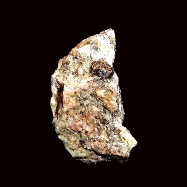 Granate Var. Amandino