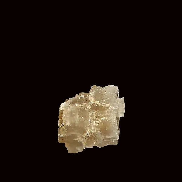 Halita