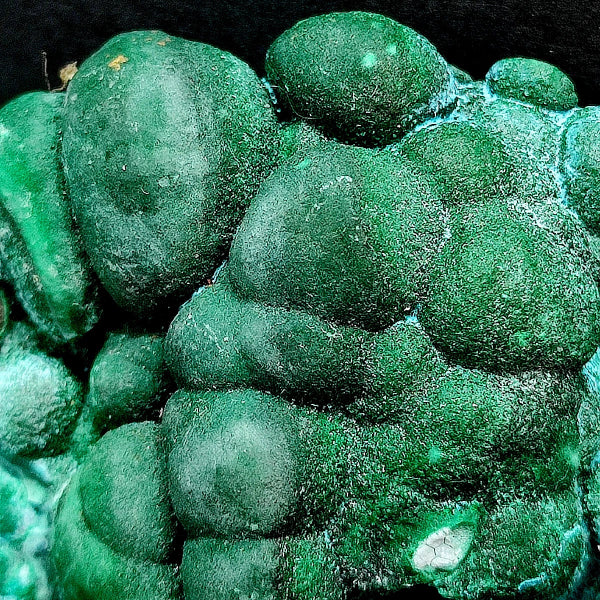 Malachite , Botryoidal