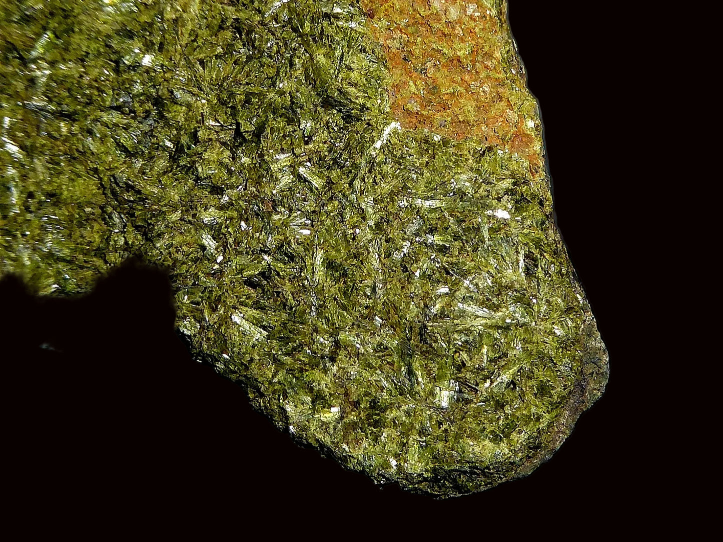 Epidota