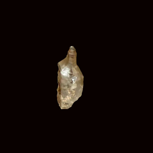 Quartz Var. Scepter