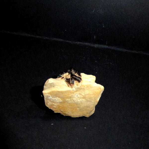 Pyrite de la Croix de Fer