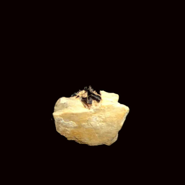 Iron Cross Pyrite