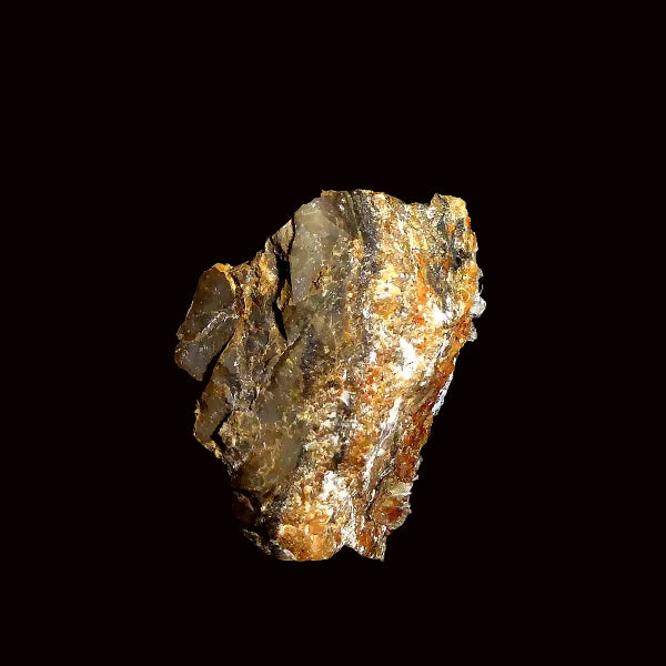 Plata Nativa