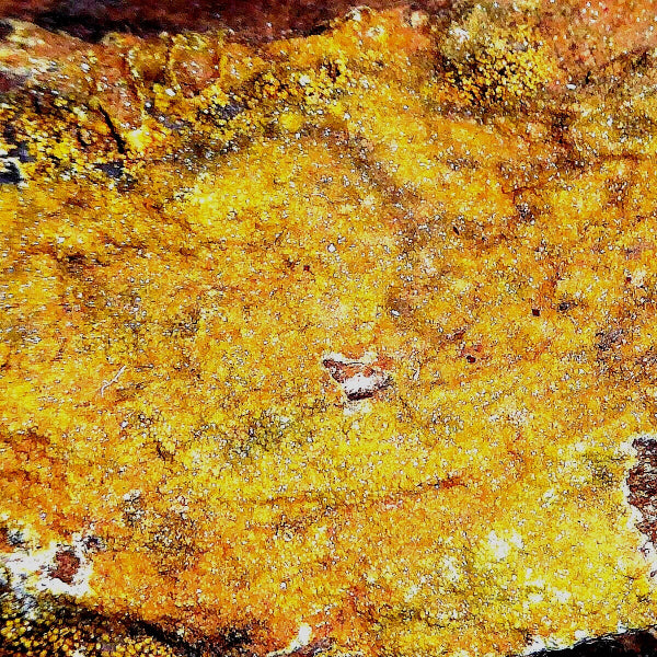 Campilita var. Mimetita, Cerusita