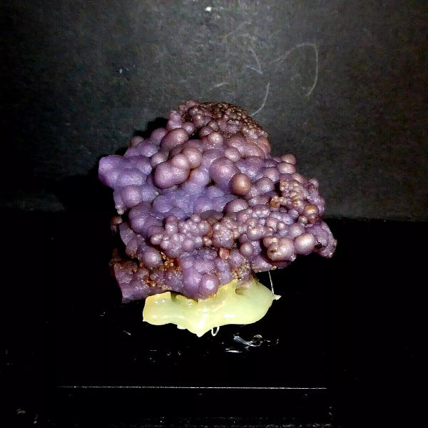 Quartz Var. Amethyst