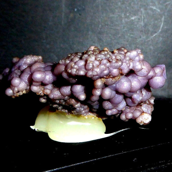 Quartz Var. Amethyst