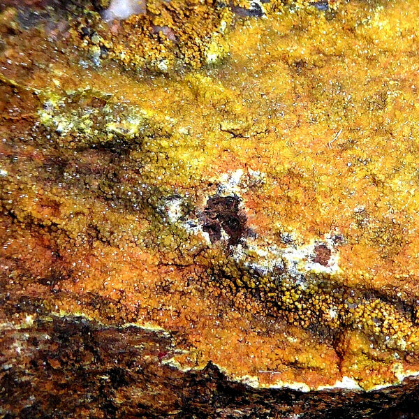 Campilita var. Mimetita, Cerusita