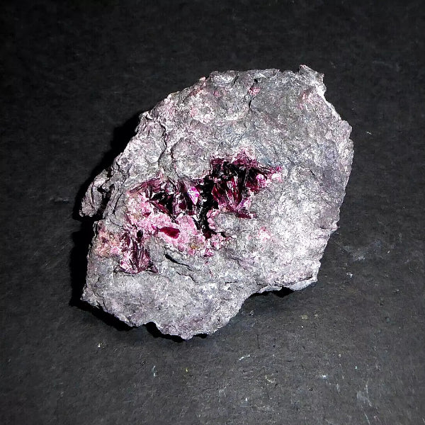 Eritrina