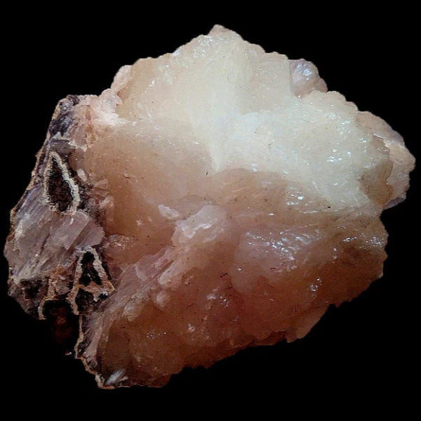 Estilbita
