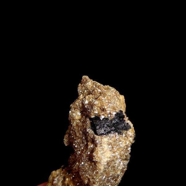 Ferberite, Pyrite, Siderite