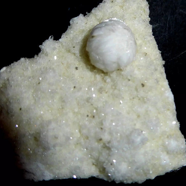 Girolita