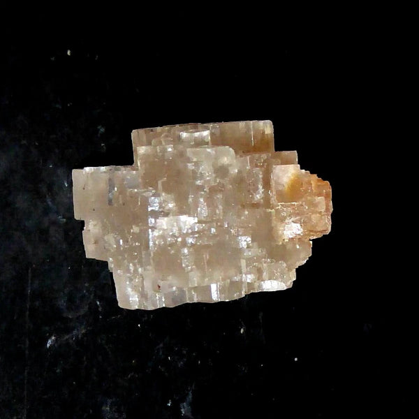 Halita