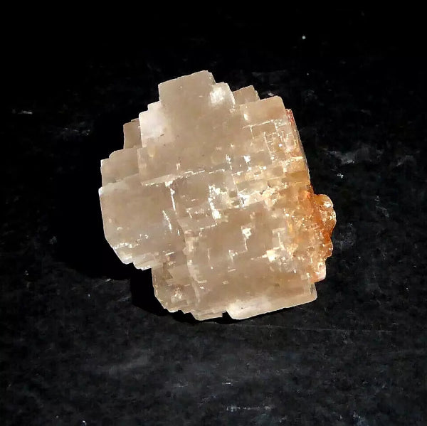 Halita
