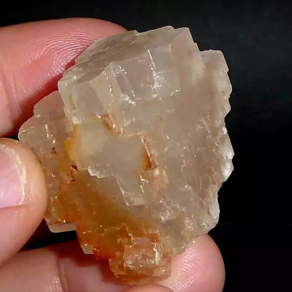 Halita