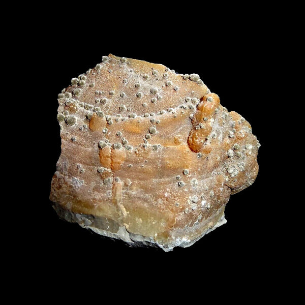 Marcasita, Calcedonia Var. Cuarzo