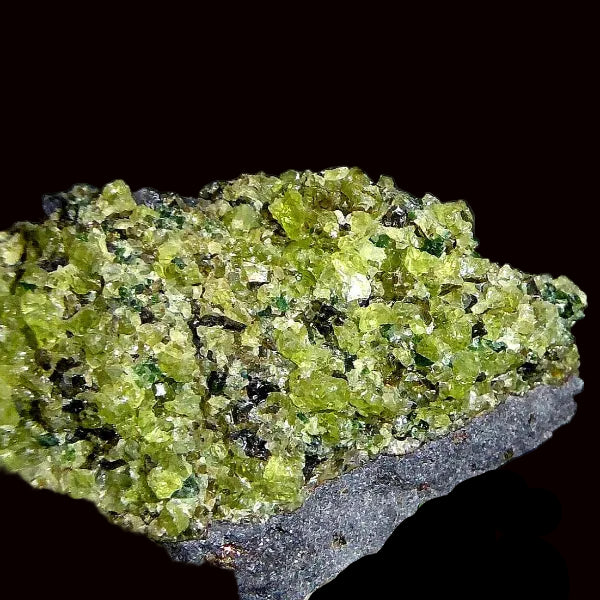 Olivina / Peridoto - Forsterite