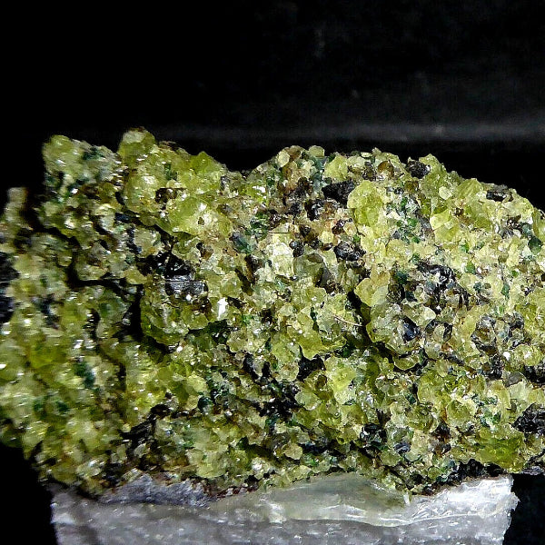 Olivino / Peridota - Forsterita