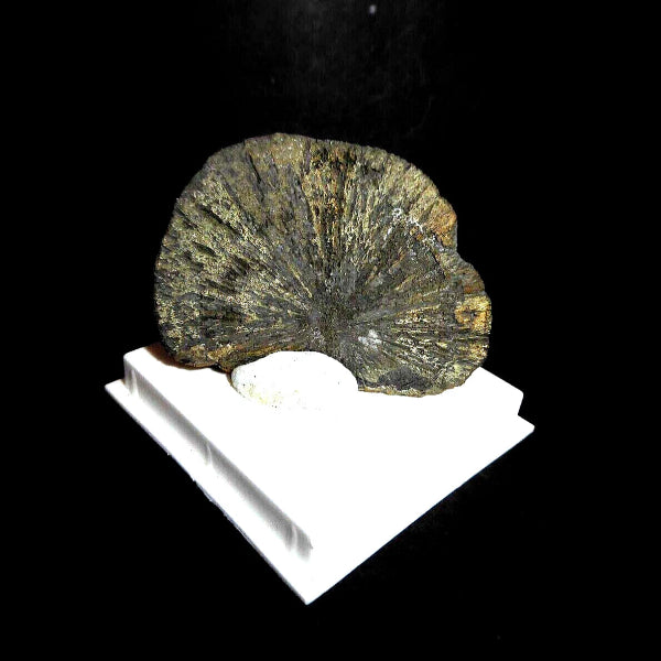 Pyrite « Soleil »