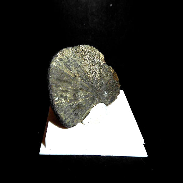 Pyrite « Soleil »