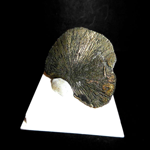 Pyrite « Soleil »