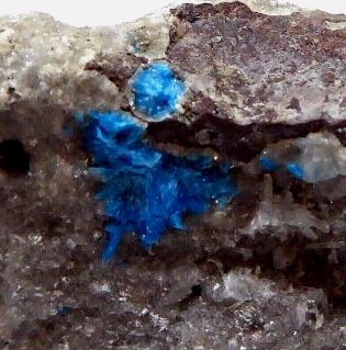 Cavansita