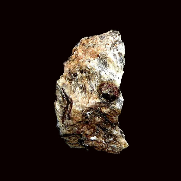 Granate Var. Amandino