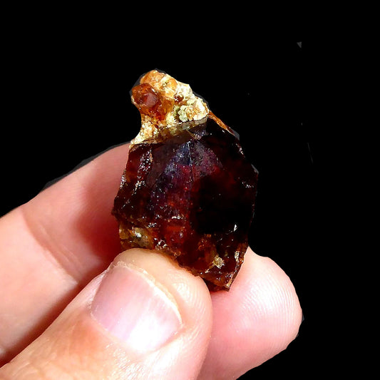 Granate Var. Grosularia