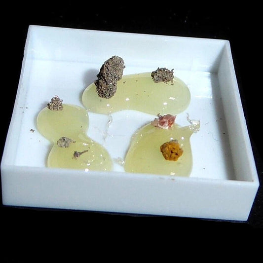 Plata Nativa