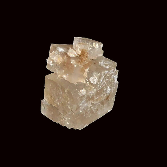 Halita
