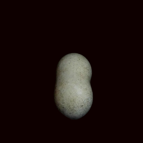 Opalo Var. Menilito