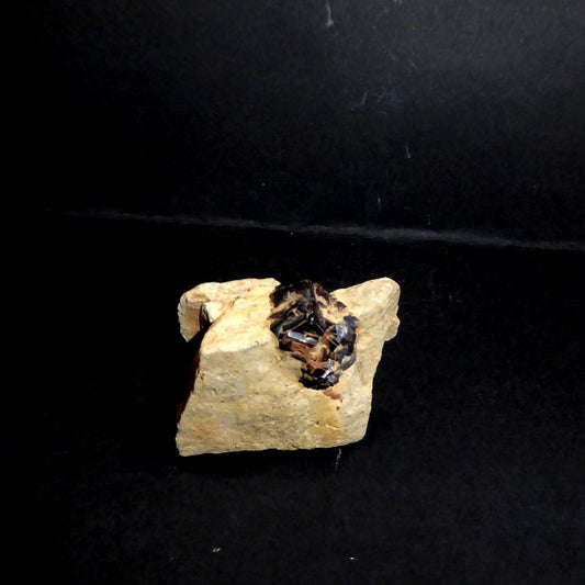 Pyrite de la Croix de Fer