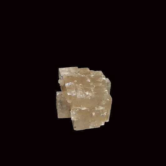 Halita