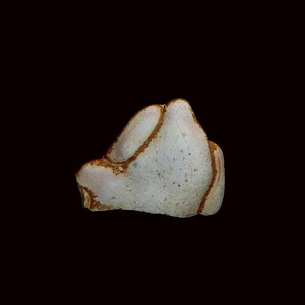 Opalo