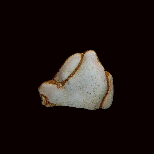 Opalo
