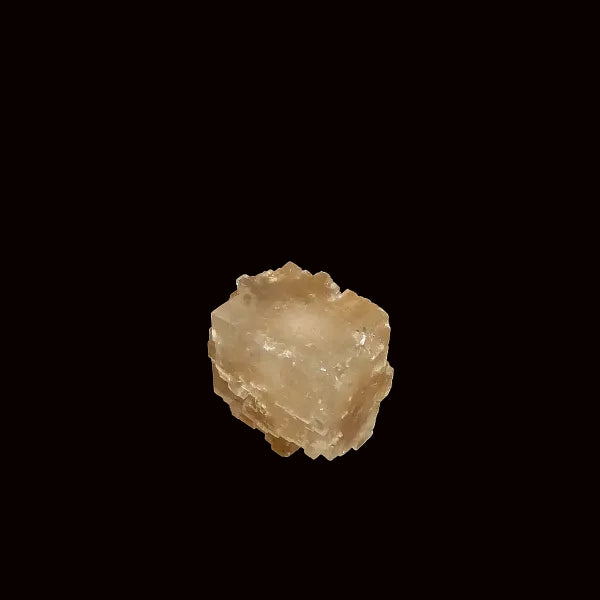 Halita