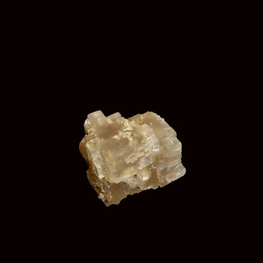 Halita