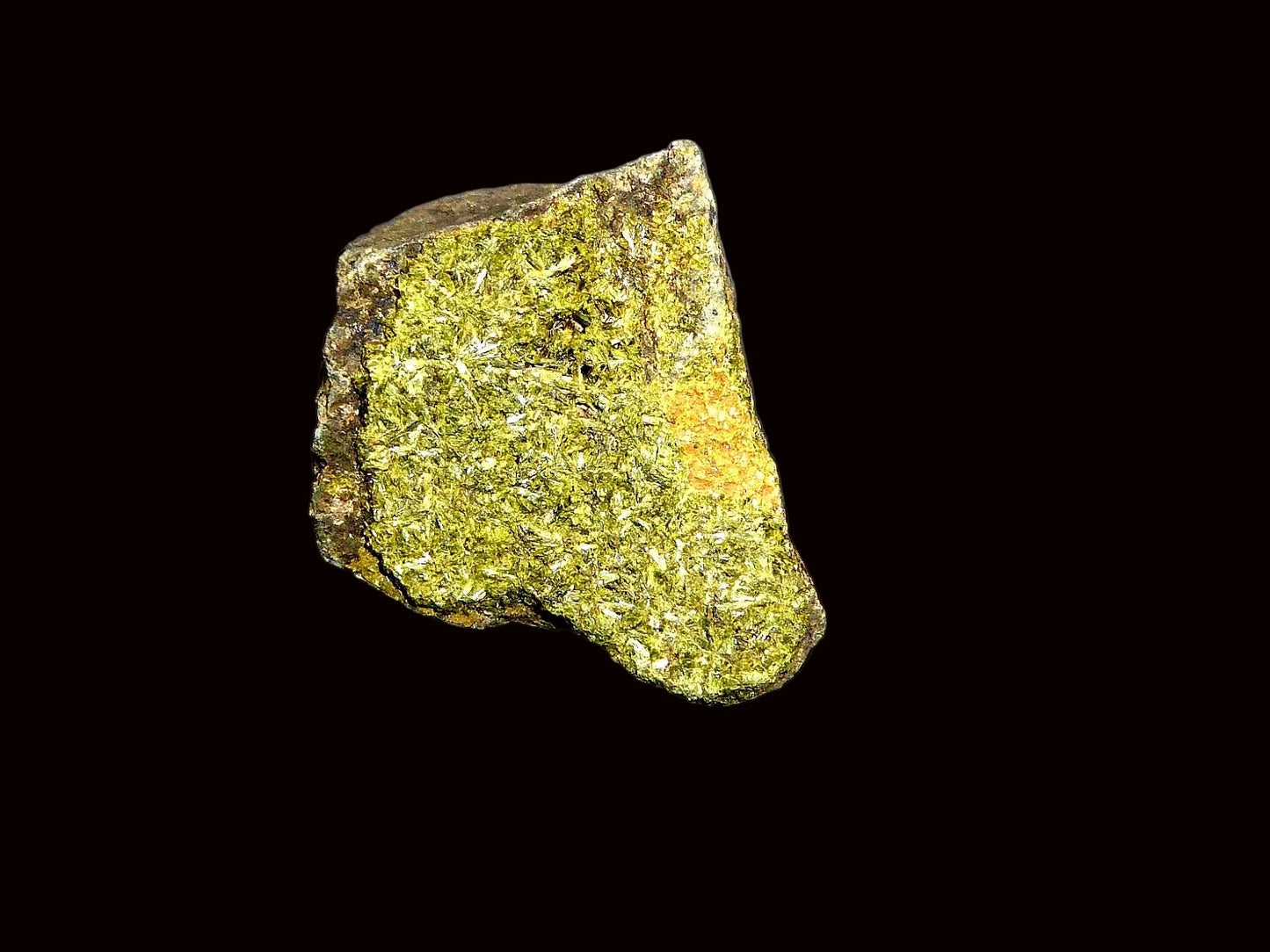 Epidota