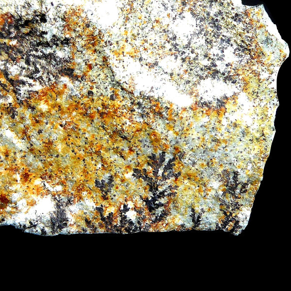 Dentritica Oxidos de Manganeso