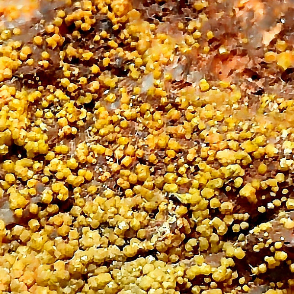 Campilite var. Mimetite, Cerussite