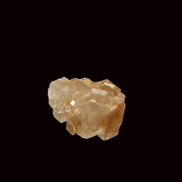 Halita