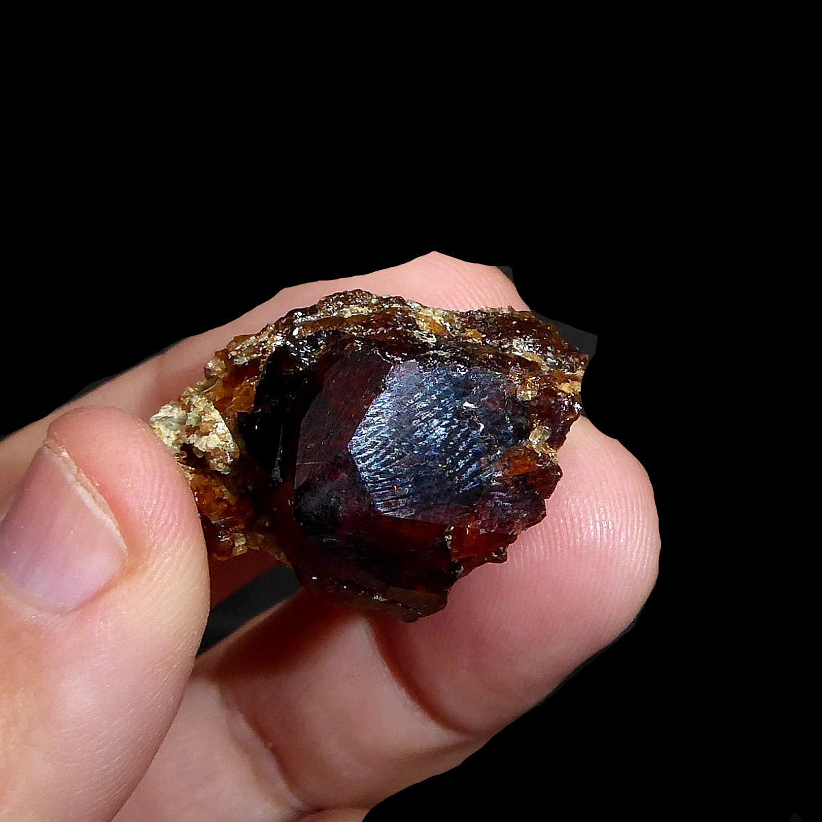 Granate Var. Grosularia