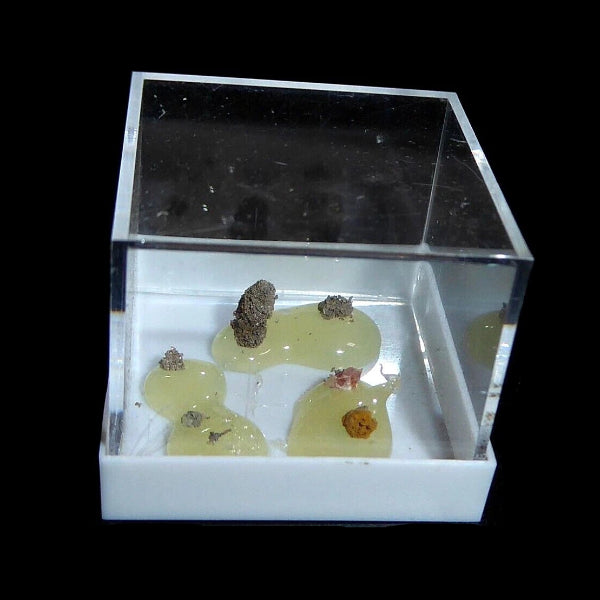 Plata Nativa