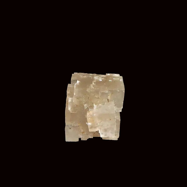 Halita