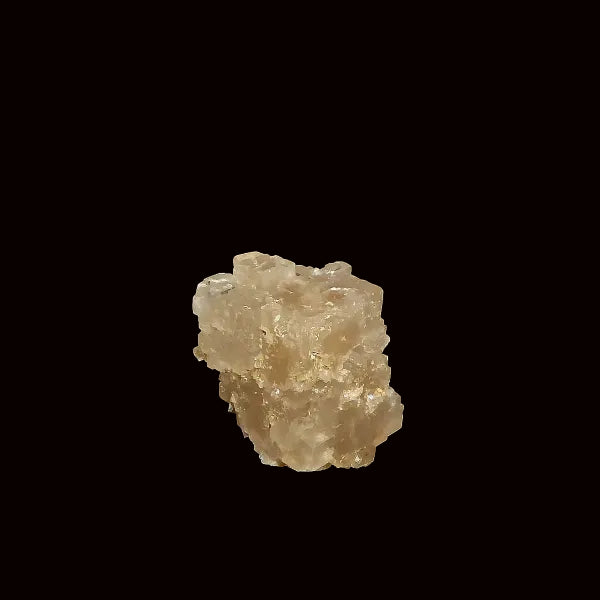 Halita