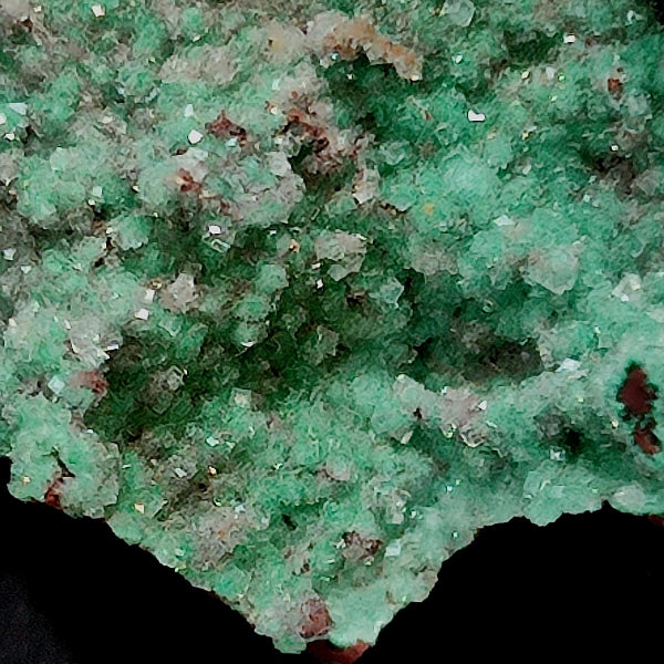 Cuproadamita Var. Adamita