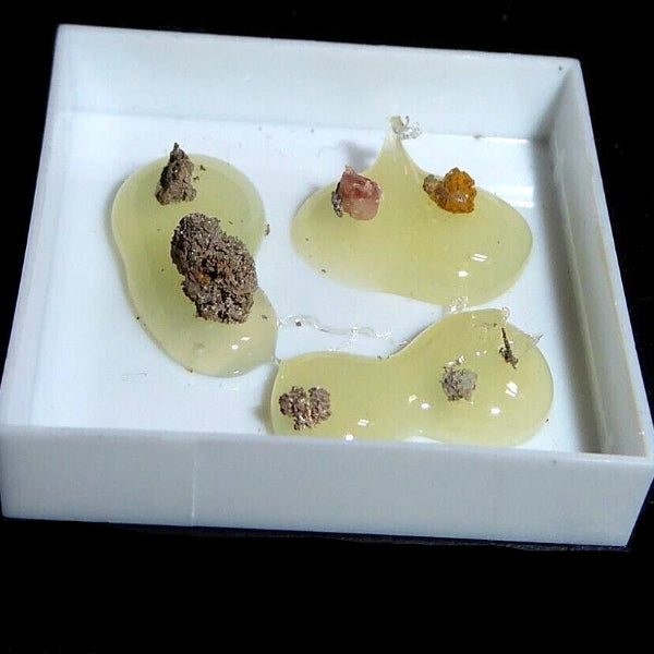 Plata Nativa