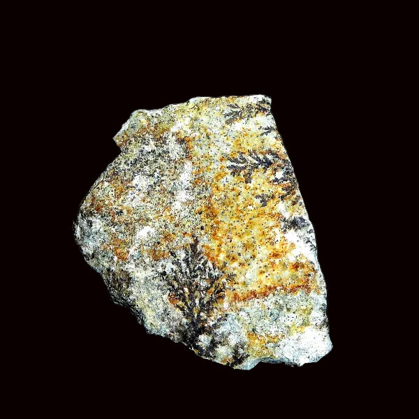Dentritica Oxidos de Manganeso