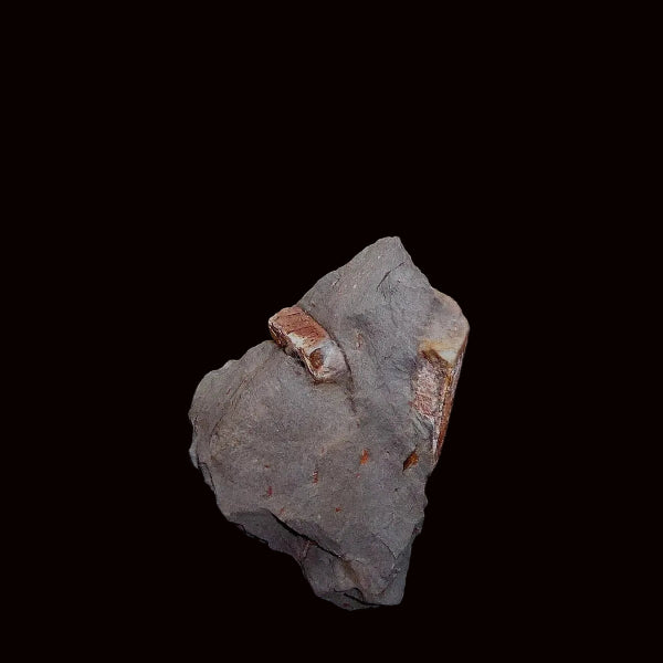 Andalucita Var. Quiastolita