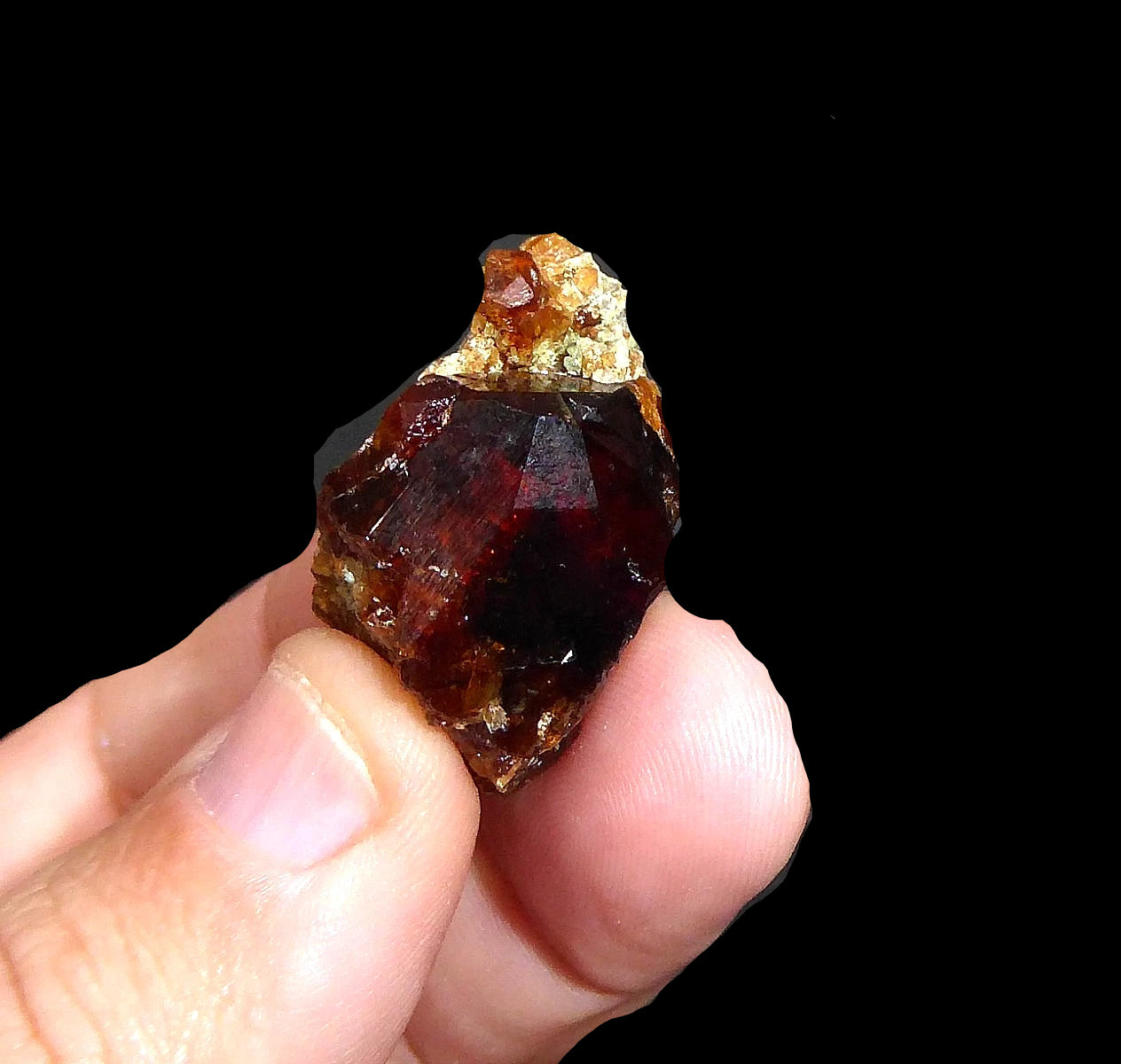 Granate Var. Grosularia